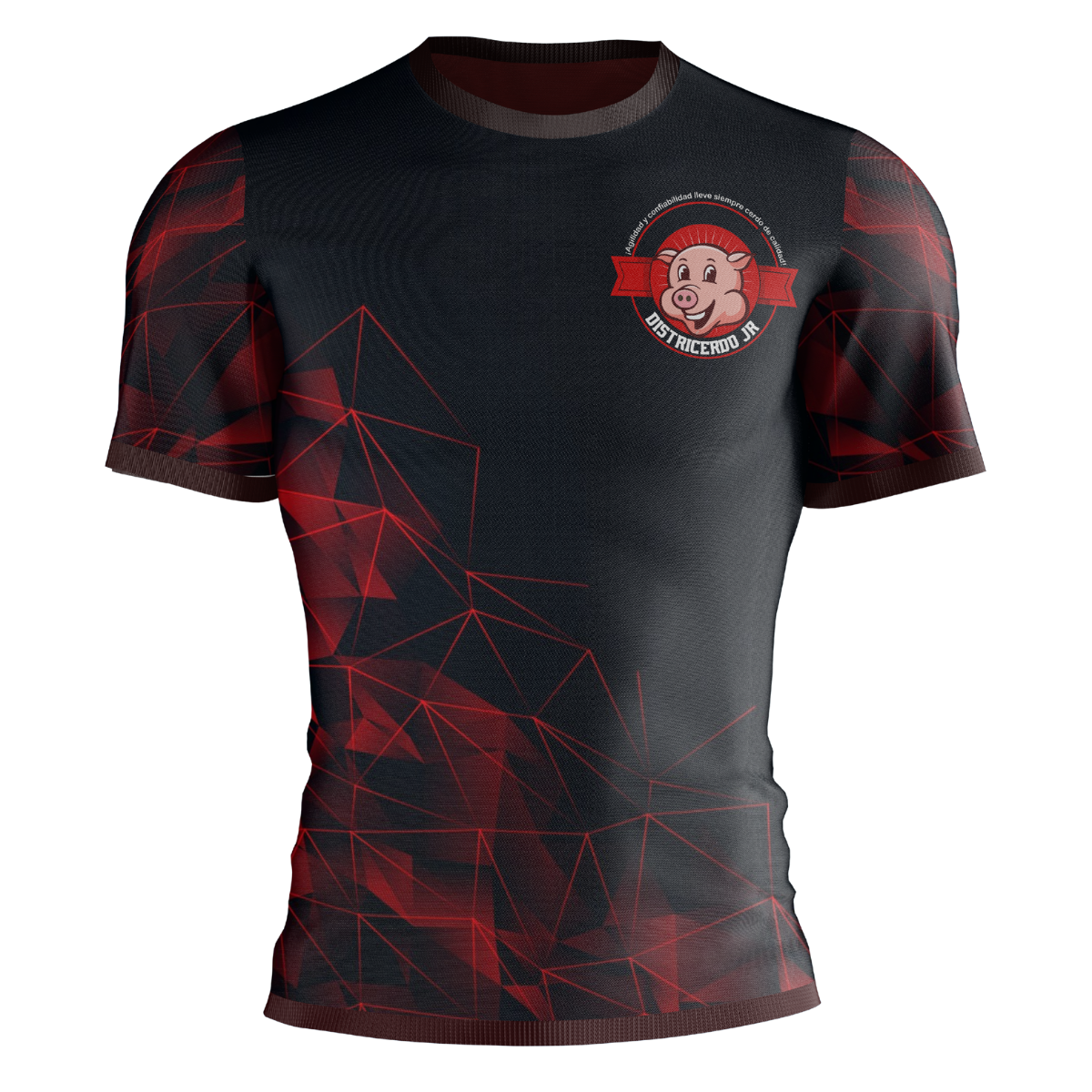 Camiseta frontal Districerdo